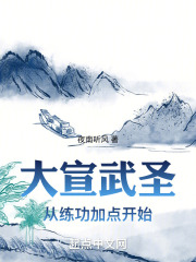 大宣武圣 txt