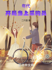 年代,开局当上采购员的小说
