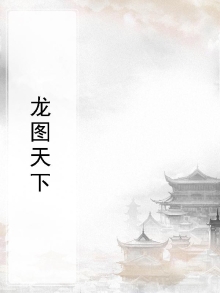 龙图天下