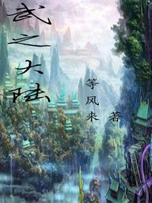 武气大陆