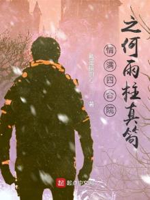 情满四合院之何雨柱真笱 小说
