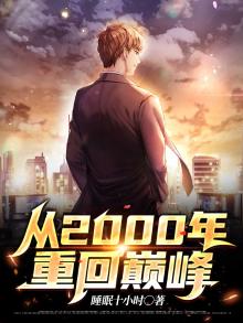 从2000年重回巅峰全文阅读