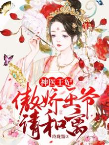 傲娇王爷神医王妃要修夫