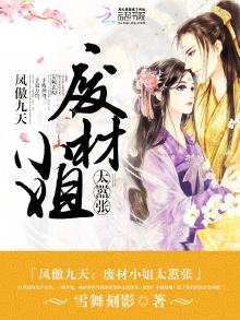 凤傲于九天 小说
