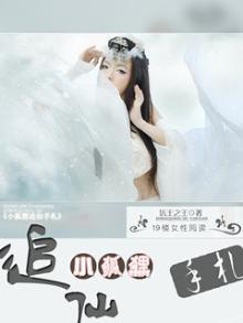 小狐狸仙子