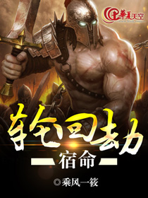 口袋妖怪宿命的轮回攻略