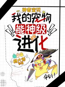 神奇宝贝:我的宠物能神级进化
