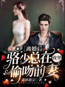 洛少离婚吧全文免费