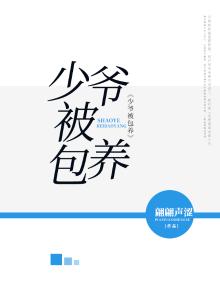少爷被保镖追的电视剧