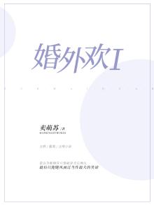 婚外欢愉小说