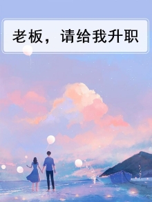 老板，请给我升职