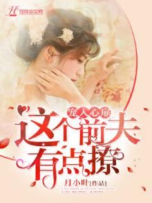 前夫,宠够了没小说