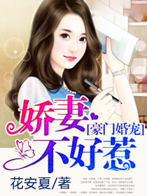 豪门婚宠:娇妻不好惹