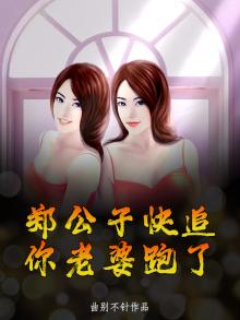 郑公子快追,你老婆跑了小说