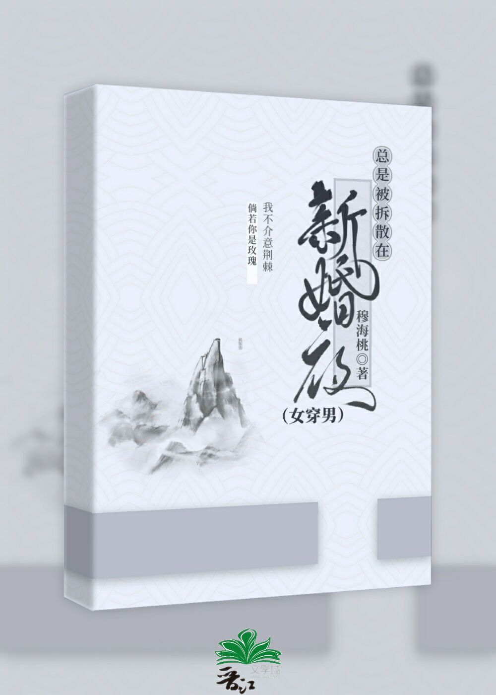 总是被拆散在新婚夜(女穿男)作者穆海桃