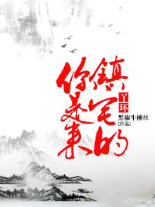 丫环什么意思
