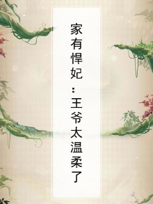 家有悍妃:王爷太温柔了小说