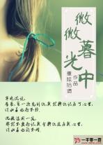慕盲小说 微光
