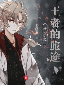 精灵之王者的旅途小说