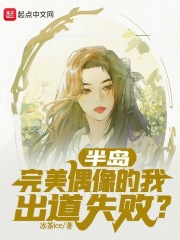 完美偶像解析