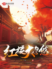 红楼大揭秘