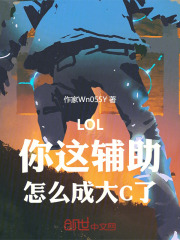 lol辅助什么意思