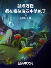泰拉瑞亚融合表