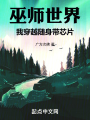 巫师世界,我穿越随身带芯片