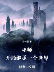 巫师小说开局有芯片