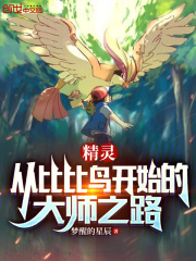 比比鸟进化图片