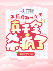 开局修改器