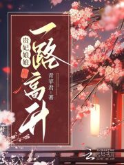 贵妃娘娘一路高升在哪看
