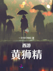 西游黄狮精相关小说