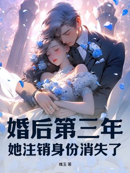 婚后第三年,她注销身份消失了 槐玉