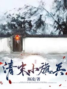 清末小旗兵相关小说