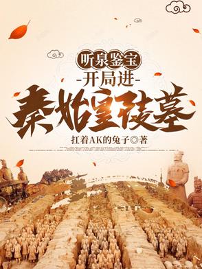 听泉鉴宝:开局进秦始皇陵墓小说