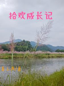 拾欢小说在线阅读