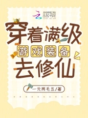 满级玩家穿越到游戏