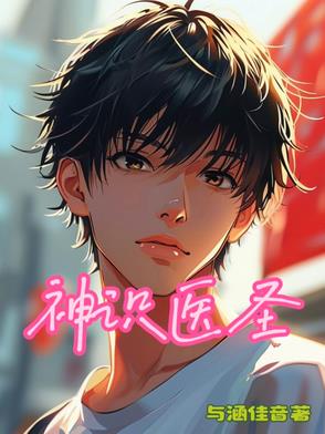 神医圣手!