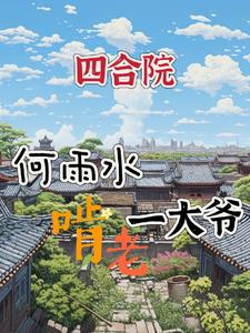 四合院何雨水的小说