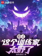 精灵训练家之最强反派