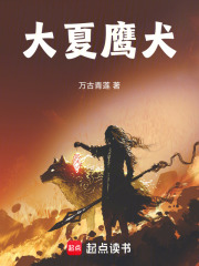 大夏鹰犬笔趣阁最新sodu