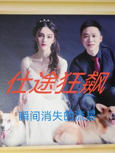 仕途狂飙小说在线阅读全文最新