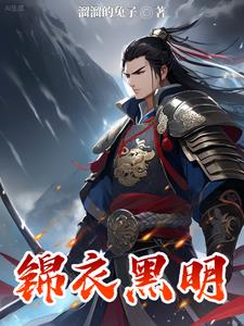 锦衣杀明小说未删减阅读