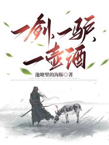一壶酒,一把剑
