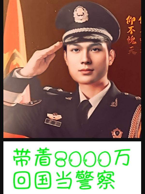 带着8000万,回国当警察的小说