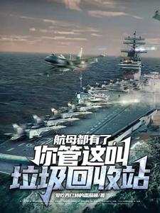 航母都有了,你管这叫垃圾回收站吗