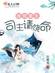 女主叫司画的小说