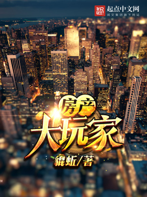 房产大玩家小说