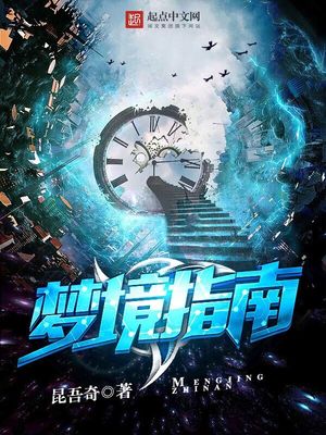 梦境指南小说
